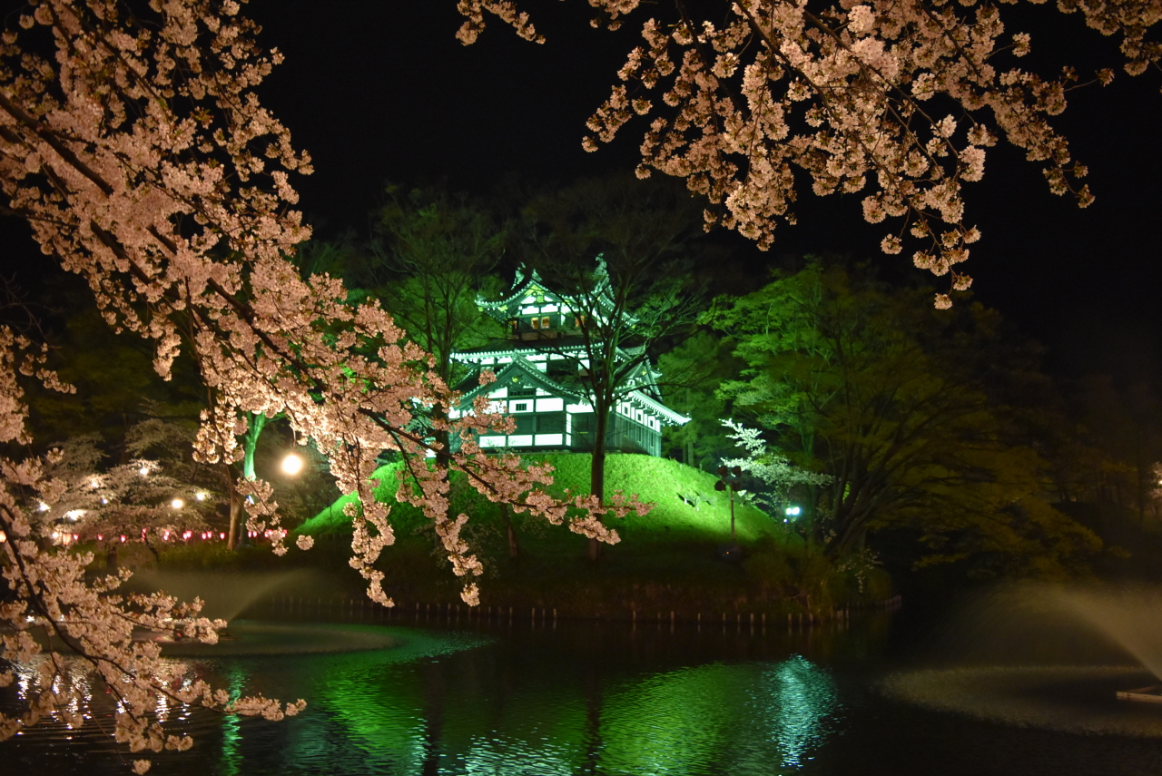 高田公園夜桜