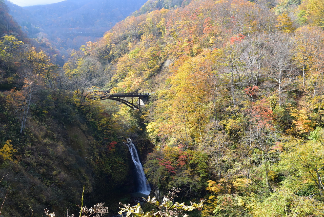 秋の不動滝